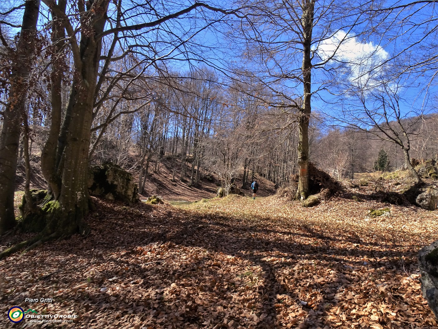 33 Verso la radura prativa della Baita bassa del Sornadello (1370 m).JPG